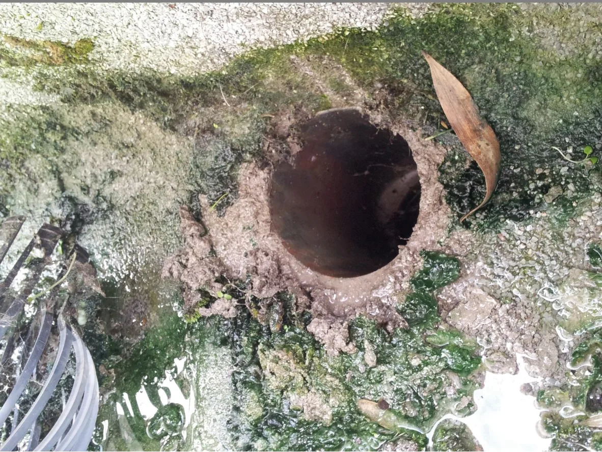 Image 1 from the Clean gutters and downspouts gallery.