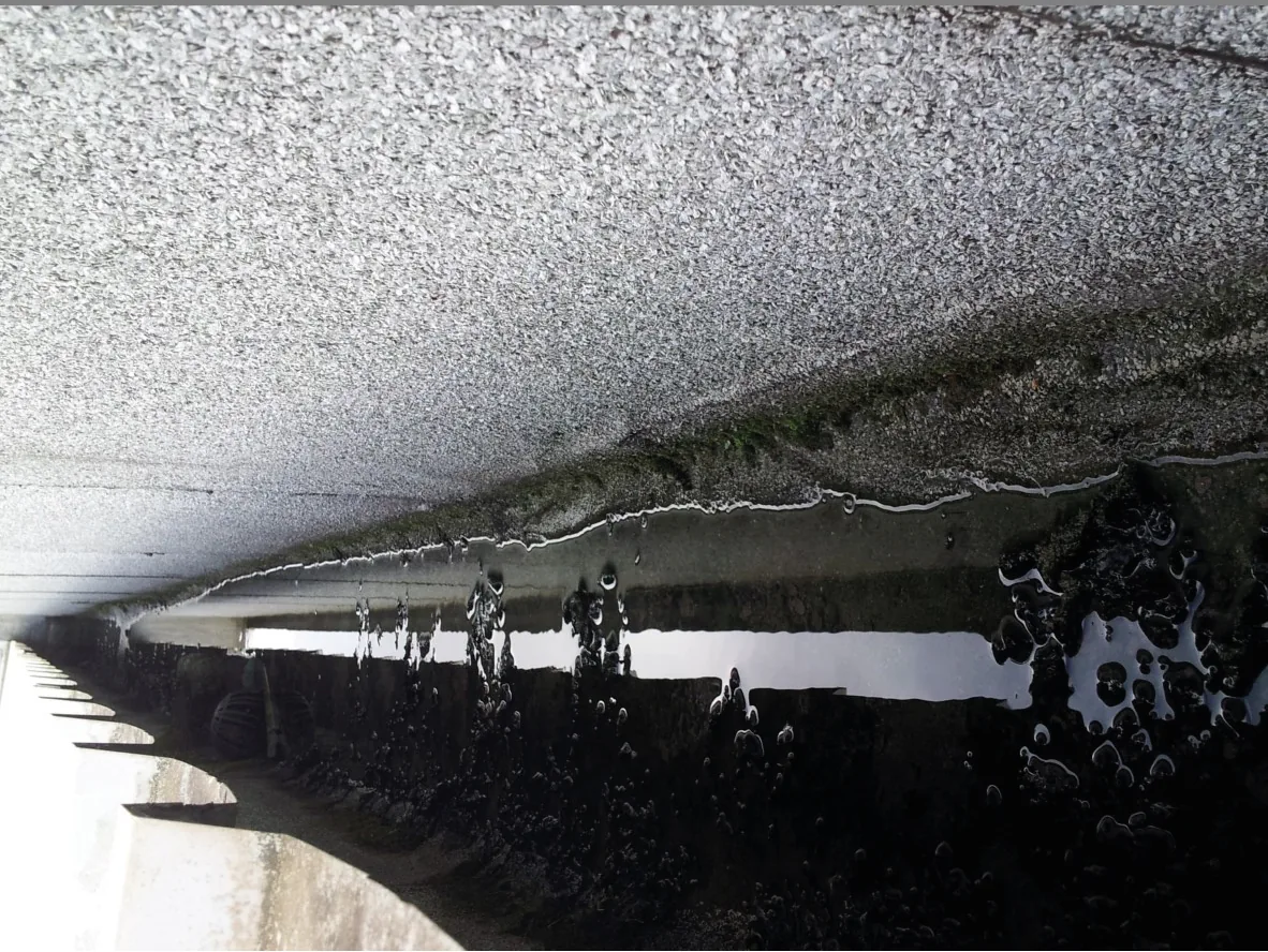 Image 2 from the Clean gutters and downspouts gallery.