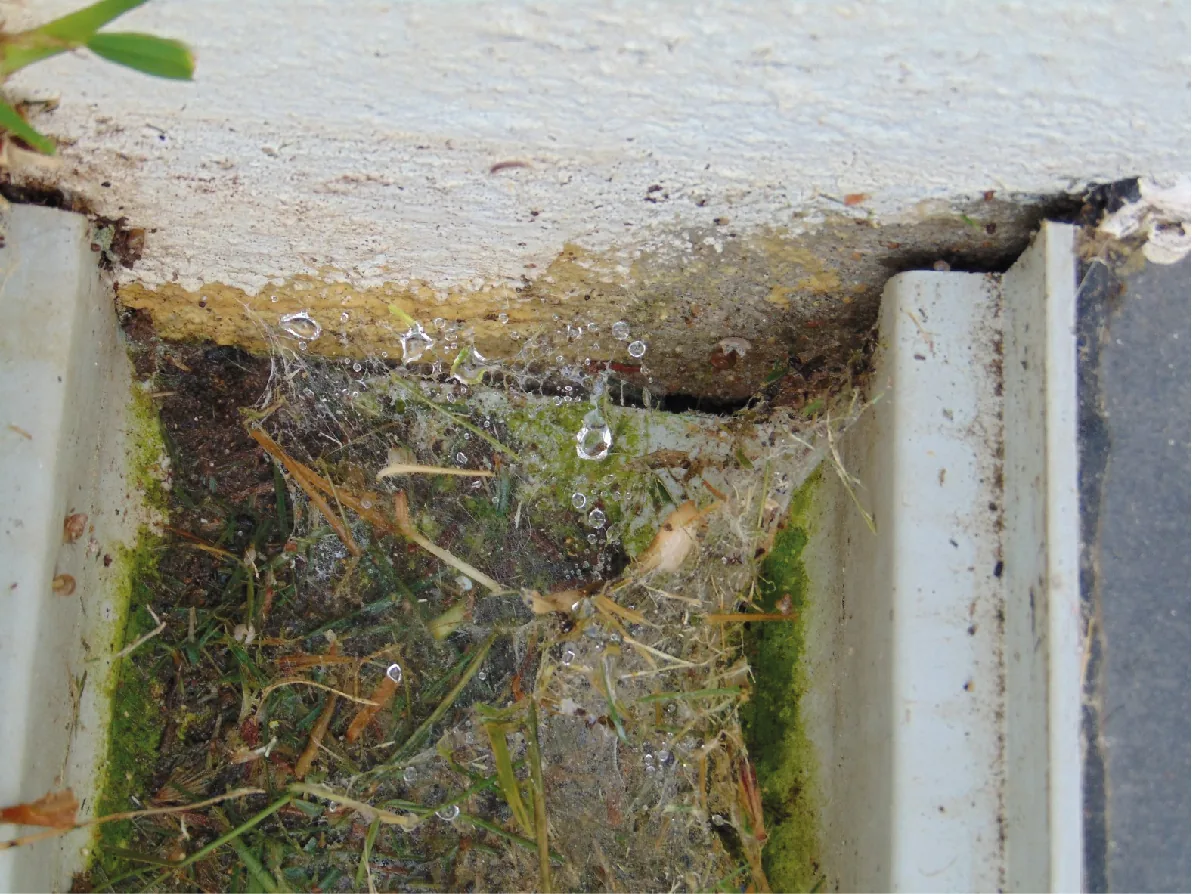 Image 5 from the Clean gutters and downspouts gallery.